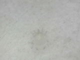 Adda L. review photo
