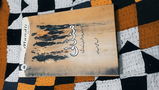 Alyan Naqvi Shah review photo
