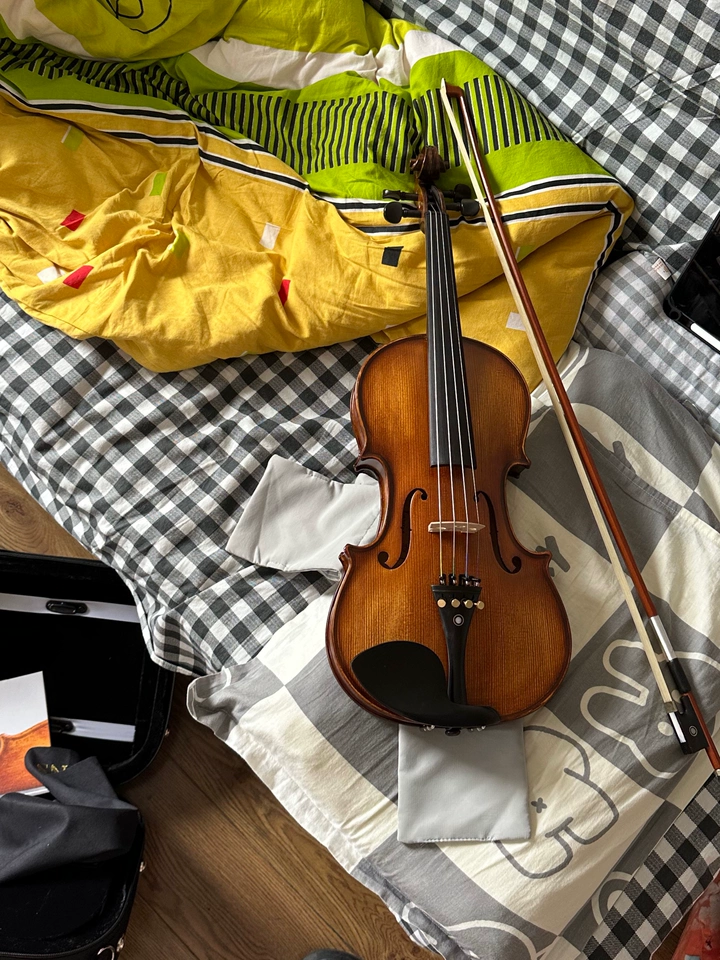 Fiddlover Violin Outfit for Advanced Beginners L007 (Ready to play)
