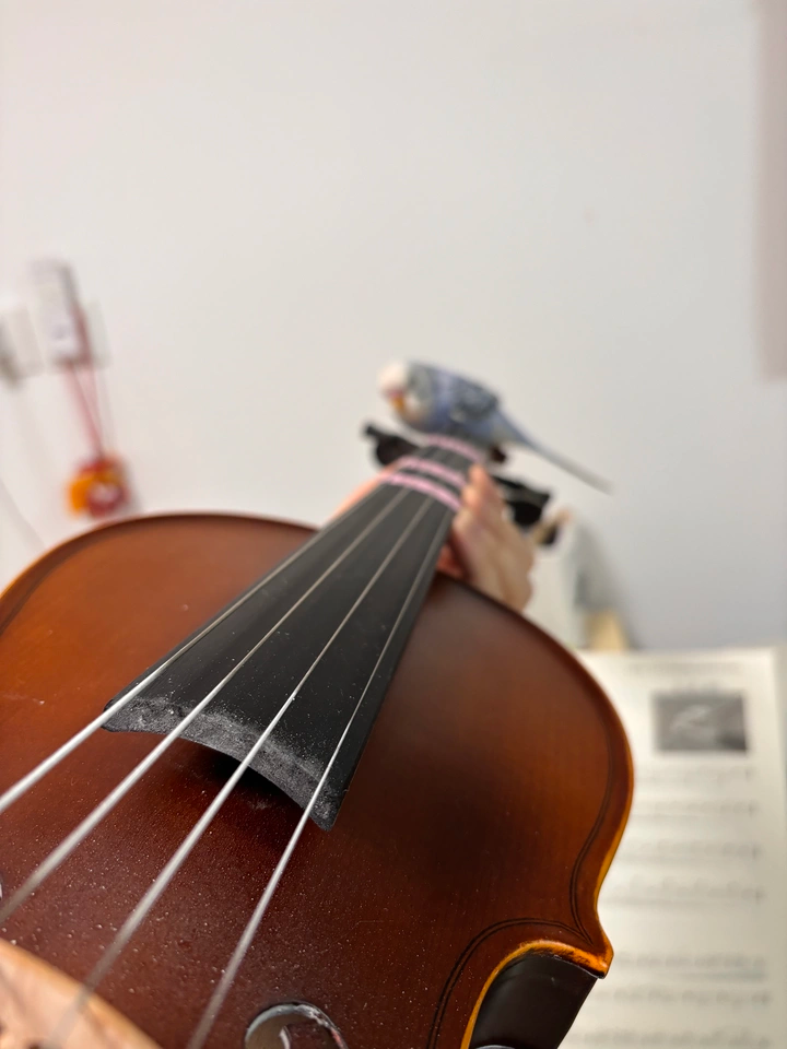 Fiddlover Q033 Beginner Violin Outfit - Ready to Play Out of the Box(Teacher Approved)