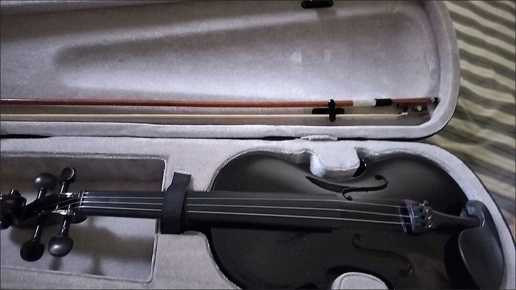 Entry-Level Black Violin CB2