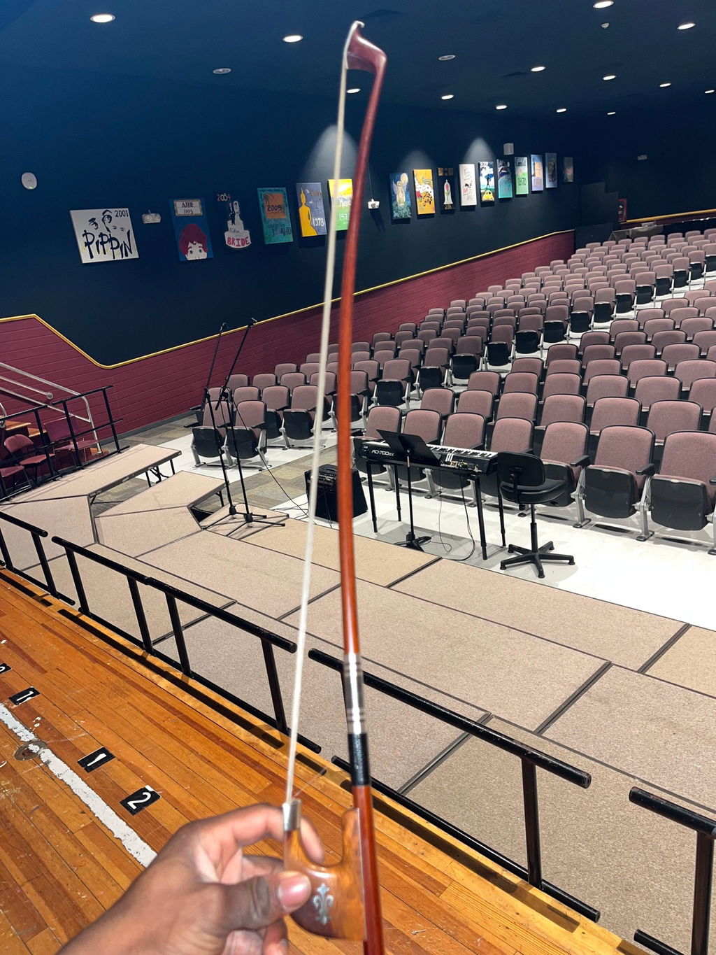 Double Bass Bow German Model B1173 | Brazilian Wood & Snakewood Frog