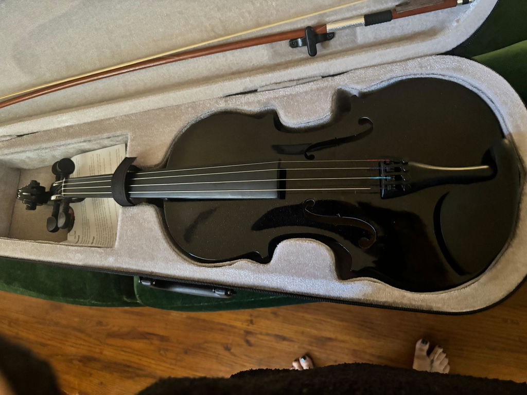 Entry-Level Black Violin CB2