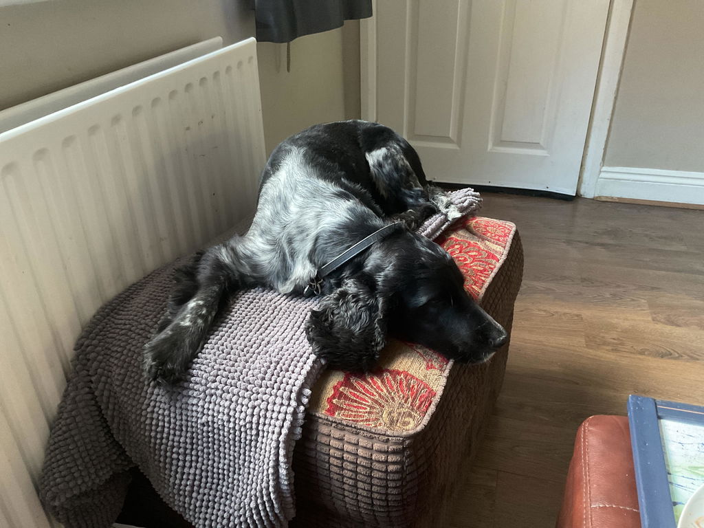 Fresh Menu • Mixed Selection Bundle 