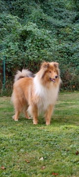 Favre Martine review photo