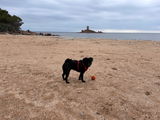 Babette und Mops Fanni review photo