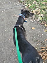 Marlee review photo