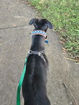 Marlee review photo