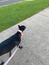 Kylee review photo