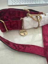 Peita-Lee review photo