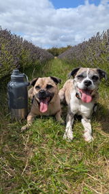 Finlay and Skyla review photo