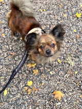 Beth review photo