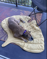Bria Emmi review photo