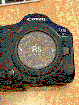 Michael G. review photo