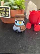 User picture