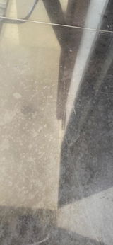 r***n review photo