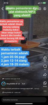 Andri review photo