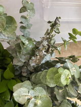 Dina Prieto review photo