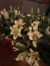 Lovely Haskins review photo