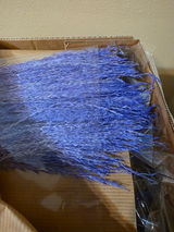 K D review photo