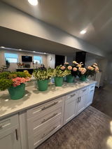 JACQUELINE L CIVITO review photo