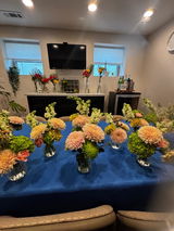 JACQUELINE L CIVITO review photo