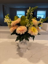 JACQUELINE L CIVITO review photo