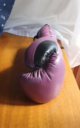 OZMTBoxing review photo