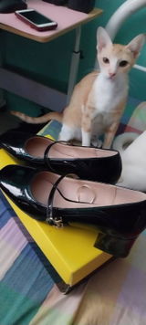 Jeanne V. review photo