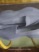 Shema review photo