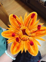 Florina Dumitrache review photo