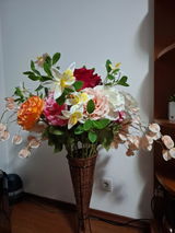 Stancu Olguta review photo