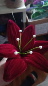 Benchea Nicoleta review photo