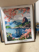 Andra Nicsan review photo