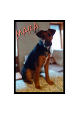 S. S. review photo