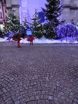 Elizabeth review photo