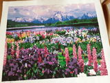 C. review photo
