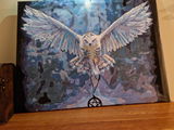 Paul Van grimbergen review photo