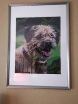 A.L. review photo