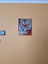 L.P. review photo