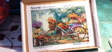 P.V. review photo
