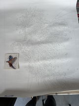 D.V. review photo