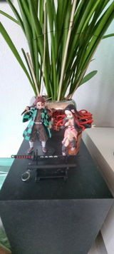 Loic review photo