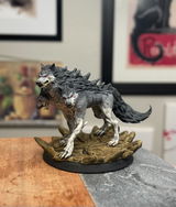 Norbert review photo