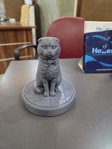 Anonim review photo