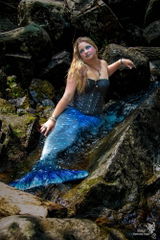 Opal Whiptail review photo