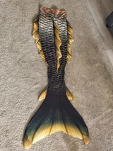 Guppy review photo