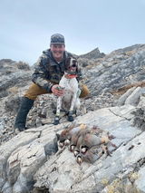 Dillon Rees Roundy review photo
