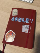 Ashley van de Scheur review photo