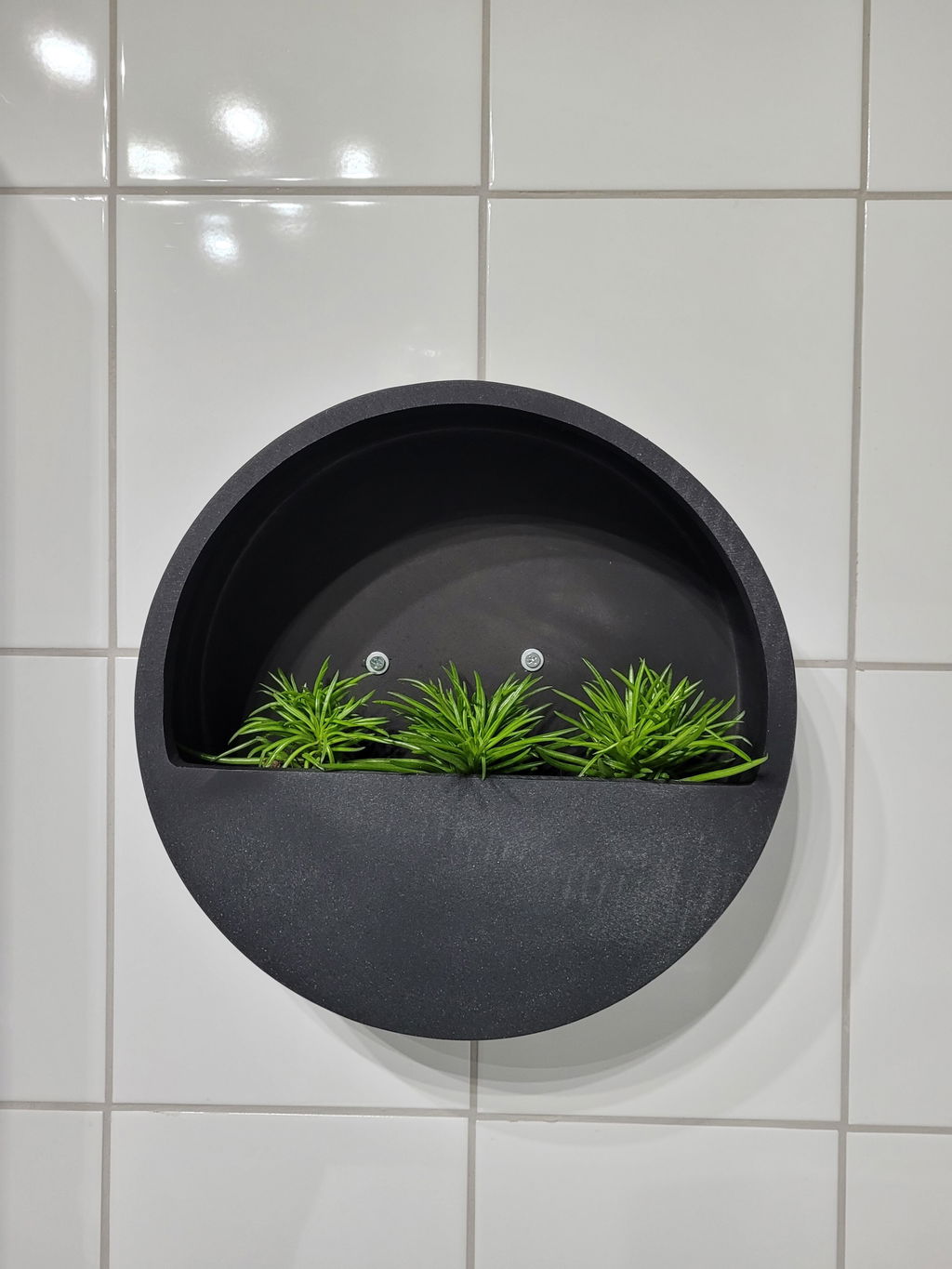 Wandpflanzschalen Wally, 3er Set Ø 30 cm